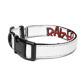 Pet collar