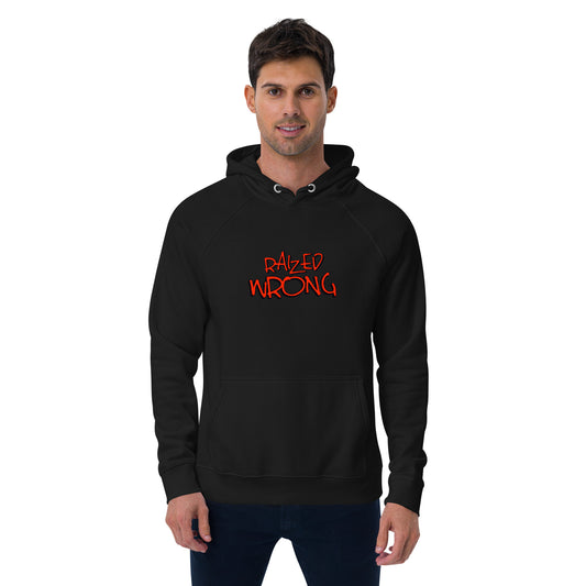 The "Lyric" Unisex eco raglan hoodie